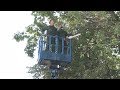 2017 09 20 - Почему вдоль улиц пилят деревья? (Лобня)
