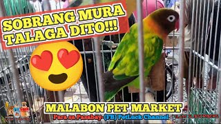 LOVEBIRDS UPDATE TAYO NGAYON LINGGO DITO SA MALABON