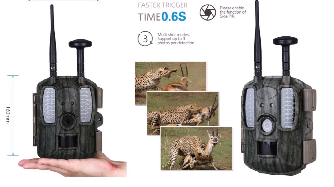 10 Фотоловушка с Алиэкспресс AliExpress Hunting camera Крутые вещи из ...