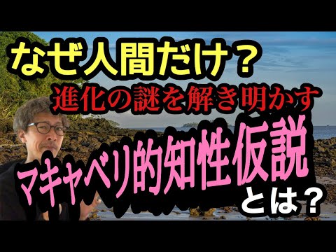 【謎】なぜ人間だけ進化した？？その謎を解く“マキャベリ的知性仮説“