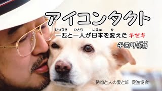 アイコンタクト　チロリ物語　29140723