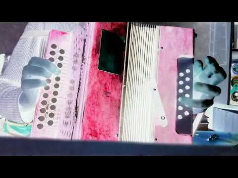 რაჭული Mokle kaba (Georgia)  Rachuli Мокле каба ром чагицвамс - Разбор на гармони ля Евграф Самолёт