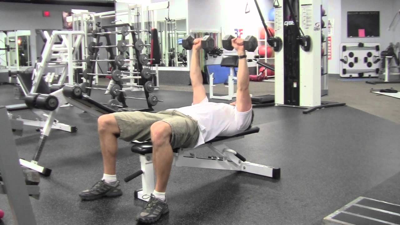 exercise 14.1 class 11 Dumbbell Chest Press