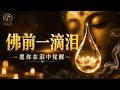 《佛前一滴泪》一首听到心会安静的佛曲|愿你在眼泪里看见慈悲|声未尽