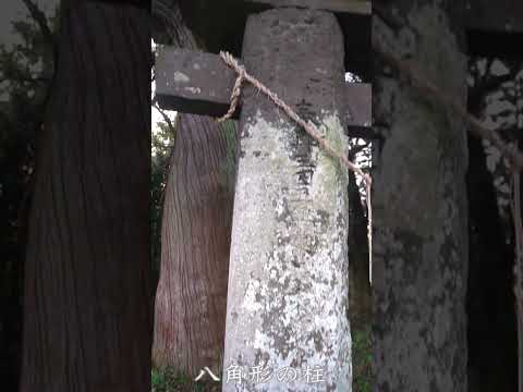 【日本の原風景⛩】平尾社鳥居と彼岸花に魅せられて in 大分県豊後大野市千歳町【文化財】　＃shorts