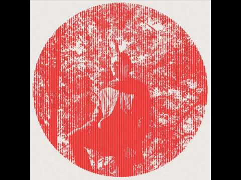 Owen Pallett - The Great Elsewhere