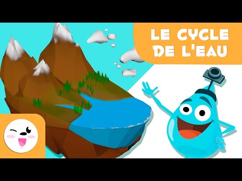 Vidéo: Qu'est-ce qu'un cycle de vie pour les enfants?