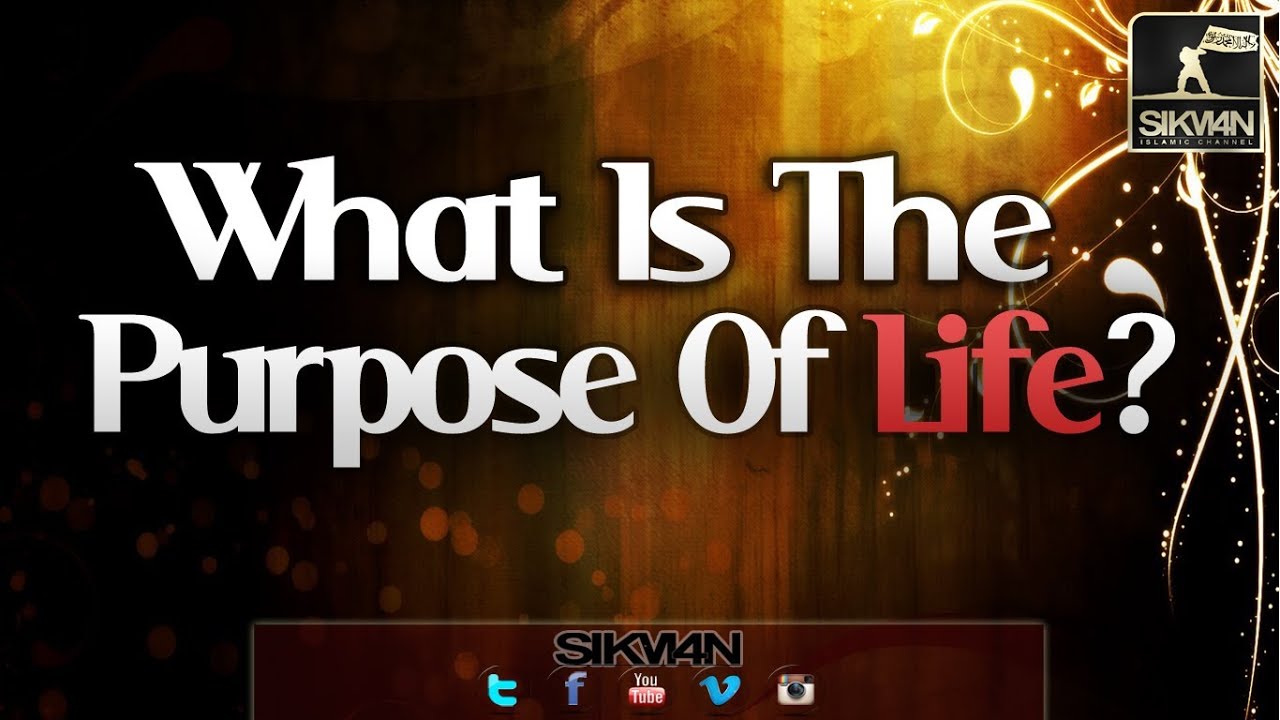 purpose of life in islam essay