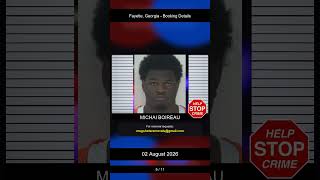 Fayette Georgia Booking Records - 02 August 2026