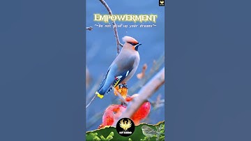 The secret of getting ahead is getting started. #Kit Kmao | 2023