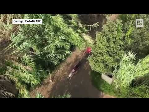 Catanzaro, pyromane découvert par un drone