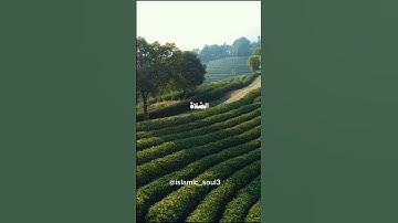 سورة لقمان بصوت شيخ علي جابر #fypシ゚viral #اكتب_شي_توجر_عليه #الصلاة_حياة #foryou #قرآن #اكسبلور
