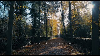 AUTUMN IN CHISWICK PARK 4K / OSMO POCKET