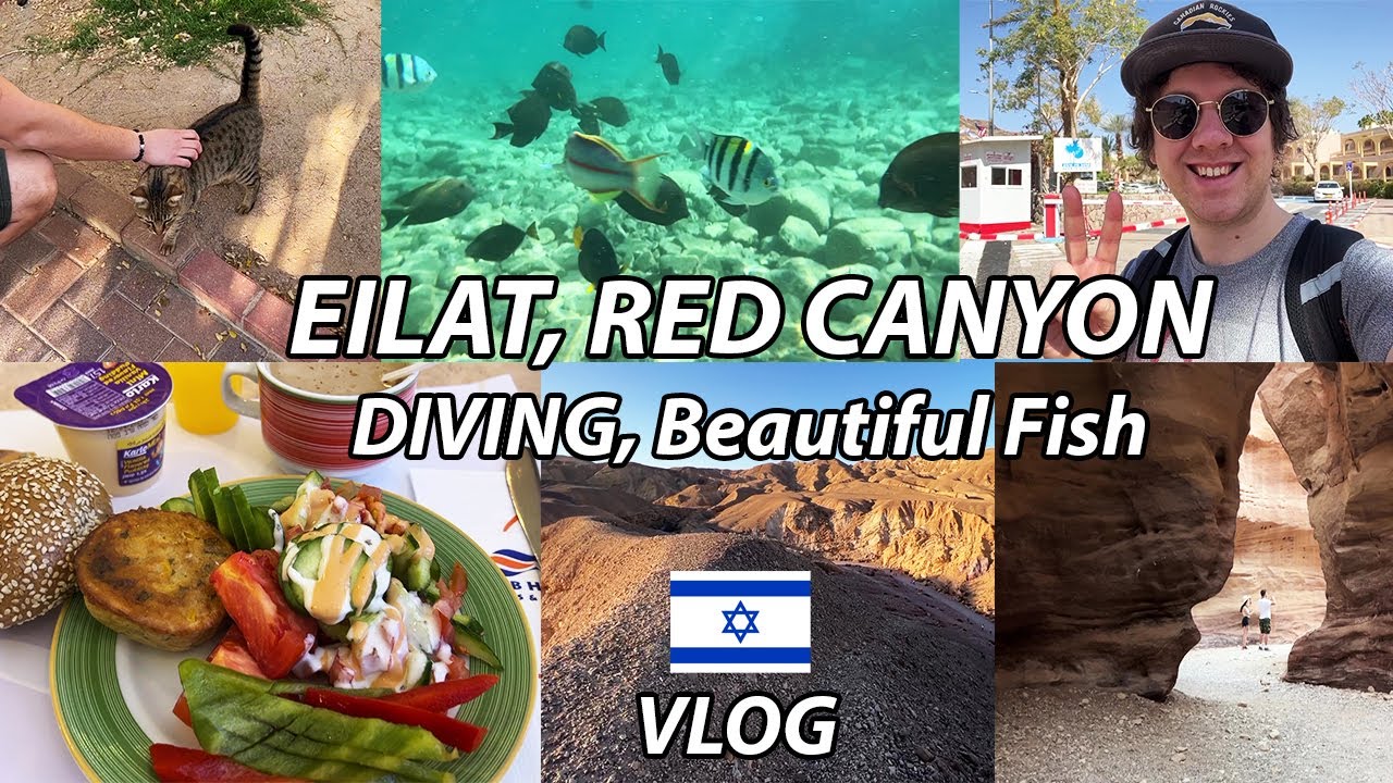 Israel Eilat (TRAVEL VLOG) Car Rental, Swimming in Red Sea, Red