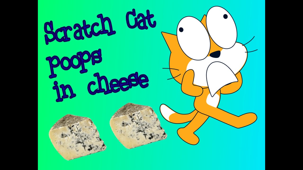 Scratch Cat poops in cheese YouTube