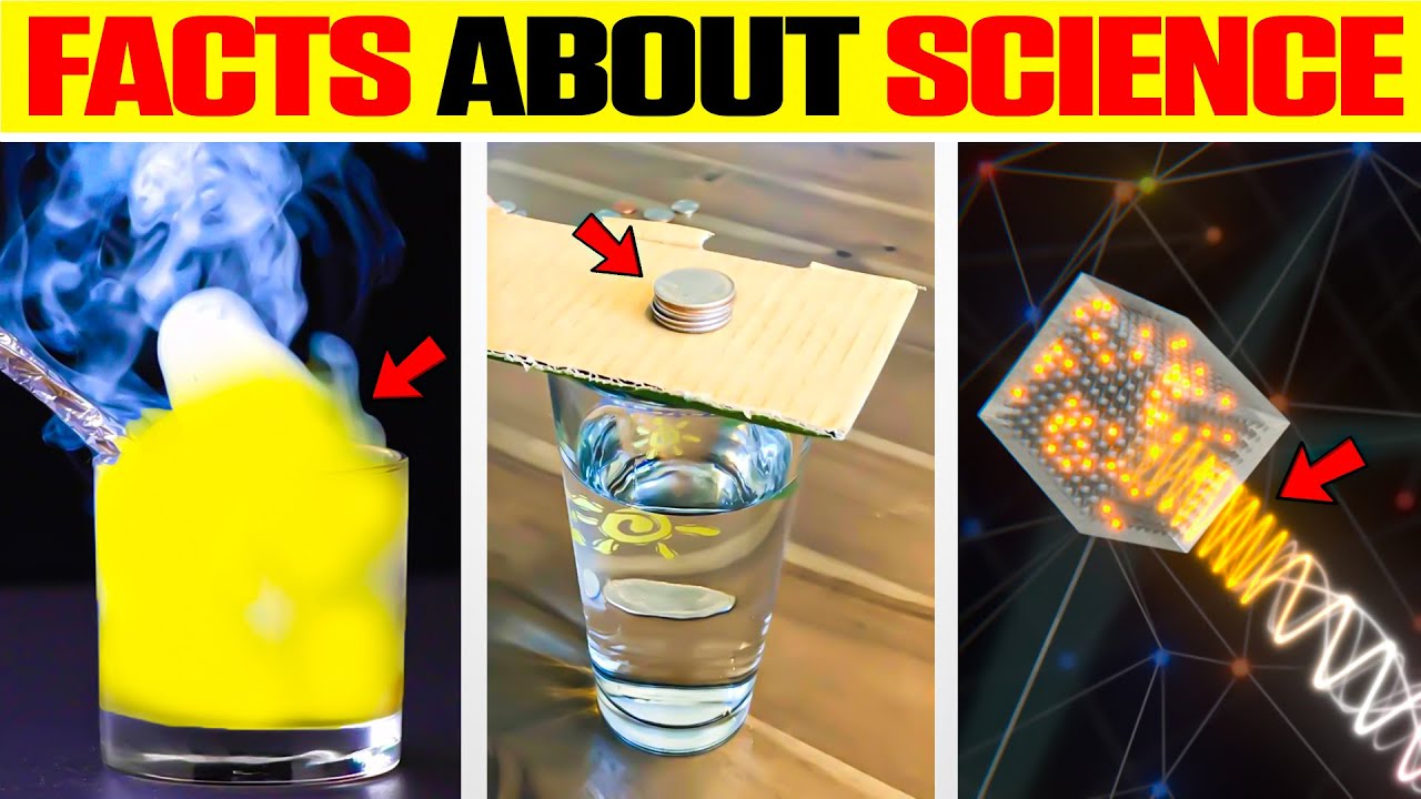 10 Weird But True Science Facts You Won't Believe! YouTube