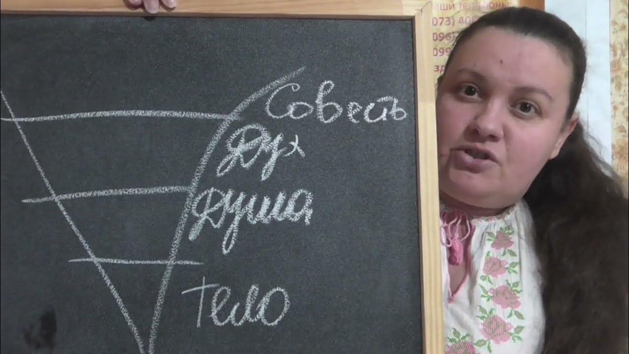 Дух и совесть. Тело душа дух совесть.