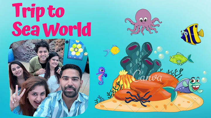 Trip to SeaWorld 🌊 Abu Dhabi, United Arab Emirates 🇦🇪 #seaworld #abudhabi #dubai #dubailfe #travel