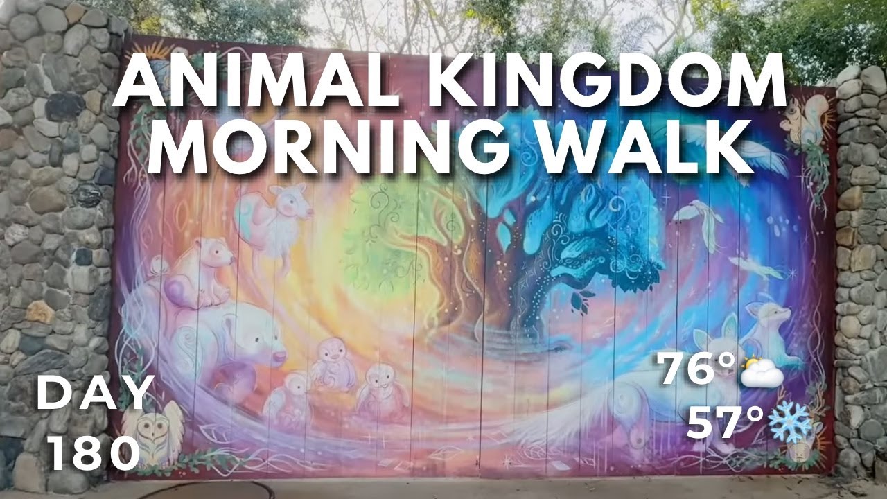 🔴 LIVE: Calm Morning at Animal Kingdom | Safari, Shows & Calm Disney Walk | Day 180