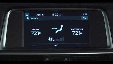 Kia Auto Defogging System (ADS)