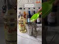 Zone Mojito Syrup Recipe | Virgin Mojito Mocktail
