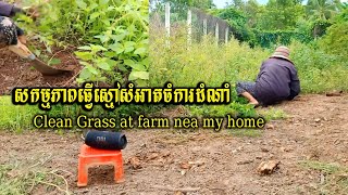ធ្វើស្មៅចំការក្រោយផ្ទះ-Clean Grass at farm nea my home