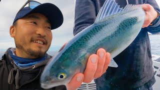 We Feed the Community by Fishing! No Waste, Sustainability, and Maori Culture
Out on a boat in Auckland, NZ with Legasea. We give back to the community and I make food for the volunteers.
Learn more about Legasea https://legasea.co.nz/
Buy Kelp Chili Crisp: https://tinyurl.com/mr4c6dhy
Also available on Amazon: https://amzn.to/3Q0eXkD
https://www.instagram.com/outdoorcheflife/
Buy Outdoor Chef Life Merch http://www.Outdoorcheflife.com
Outdoor Chef Life Apron https://outdoorcheflife.com/merch-1
Outdoor Chef Life Knife Bag https://outdoorcheflife.com/merch-1/ols/products/outdoor-chef-life-knife-bag
Fishing gear by Okuma
#okumafishingusa @OkumaFishingUSA We Feed the Community by Fishing! No Waste, Sustainability, and Maori Culture