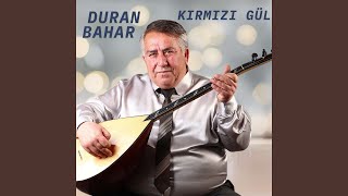 Kırmızı Gül Olayım