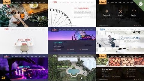 After Effects Template: Multi Theme