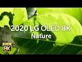 2020 LG OLED 8K l  Nature 8K HDR 60fps