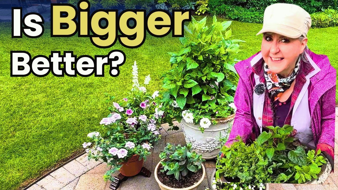 The Secret to Container Gardens That Bloom All Season