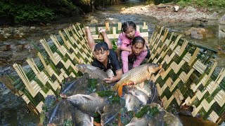 Build a simple bamboo fish trap - Catch giant carp and catfish with your kids to sell - Lý Thị Nhim