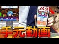 お手元動画!!かわいいペットとテニス【白猫テニス】