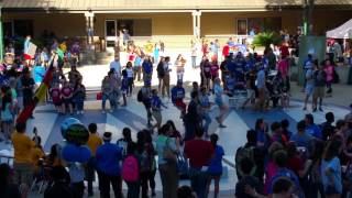 Flash Mob 2015