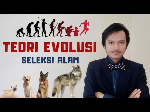 Video: Batu Zhukovlyanskie - Cabang Evolusi Alternatif - Pandangan Alternatif