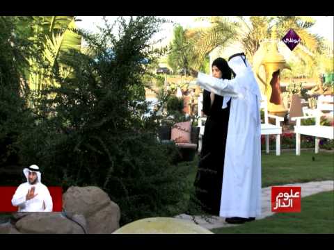 أجمل حديقة منزلية