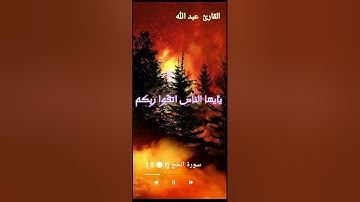أوائل سورة الحج تلاوة خاشعة