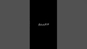 🌹القرآن الكريم شاشه سوداء🌹سورة:البقرة 🌹القارئ: سعد الغامدي 🌹