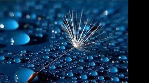 Tribology Application Precision testing examples