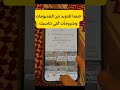 اوقات النشر الصحيحة ؟  على تيك توك وانستقرام #اكسبلور
