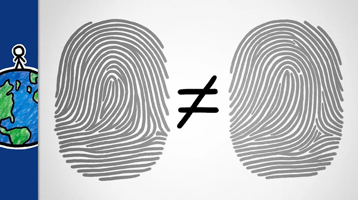 What is the importance of fingerprints? (2023)