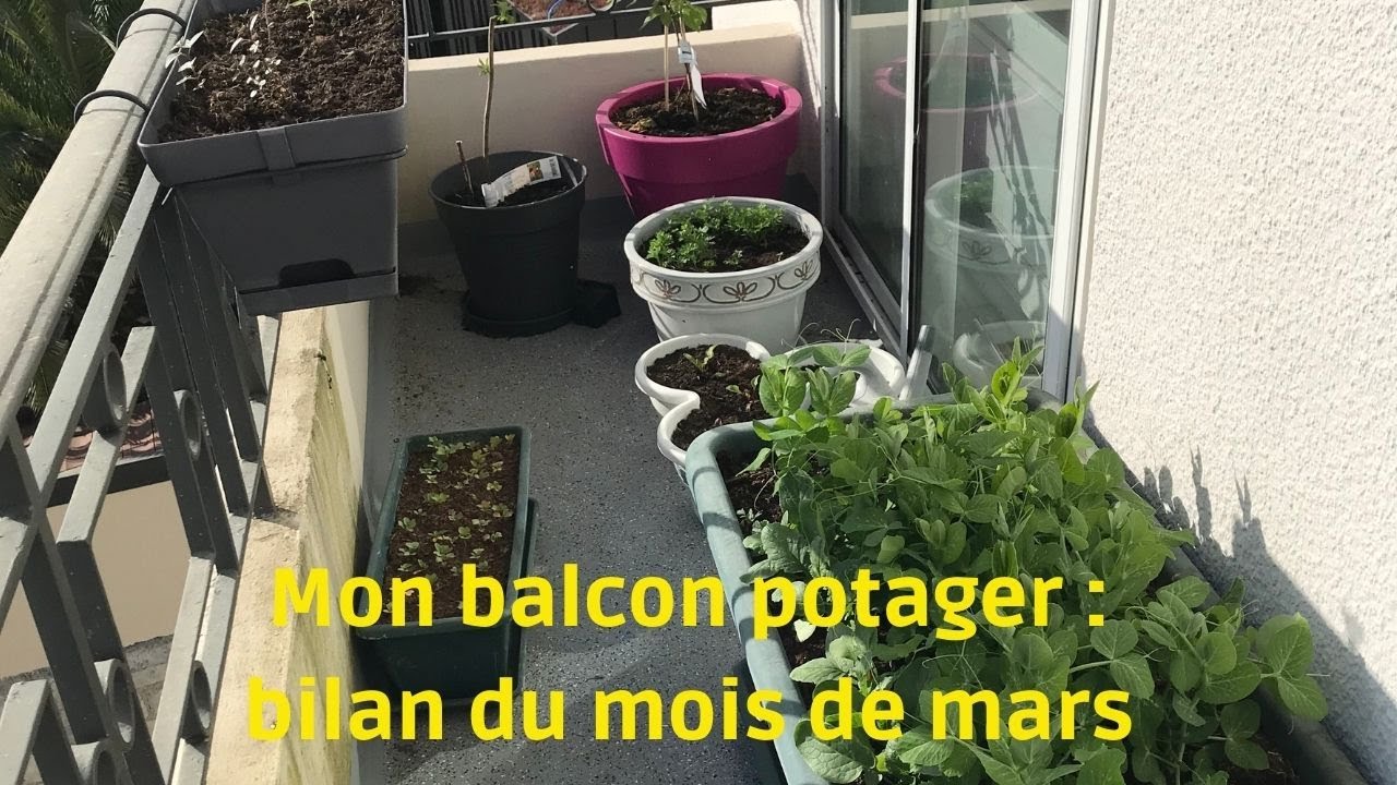Mon Balcon potager : bilan du mois de mars, les plantations et semis en extérieur et intérieur