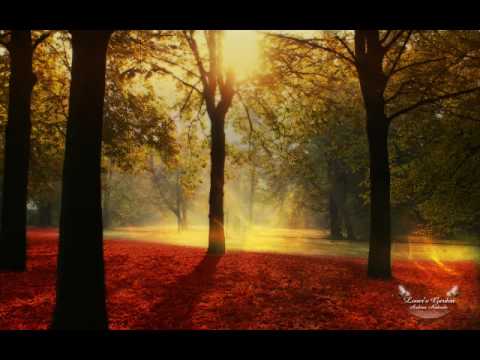 Sasha - Invol2er (Ladytron - Destroy Everything You Touch)