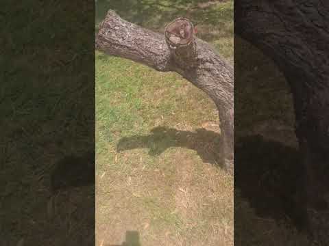 The definition of RESILIENCE