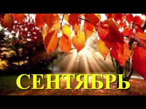 Медитация Гармонизация месяца сентябрь. Сеанс Рейки.
