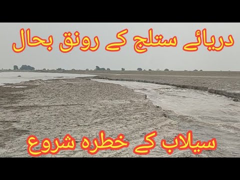 دریائے ستلج کے رونق بحال ھے