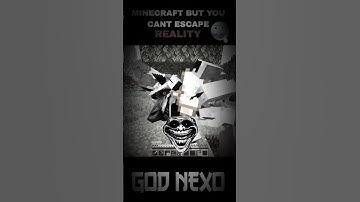 Minecraft But Bro Can