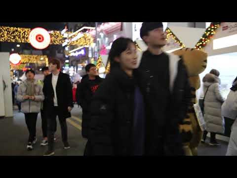 JHKTV] 신촌 명물고양이행복한시간은 <strong>shin</strong> chon  special cat The happy <strong>time</strong> is