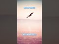 selfsong - Breaking Free #selfsong #song #pop #music #shorts #쇼츠 #자작곡 #추천 #노래 #발라드 #팝송