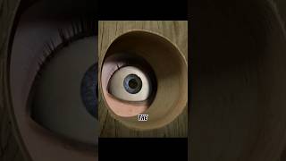 Did You Know That In Madagascar 3...?